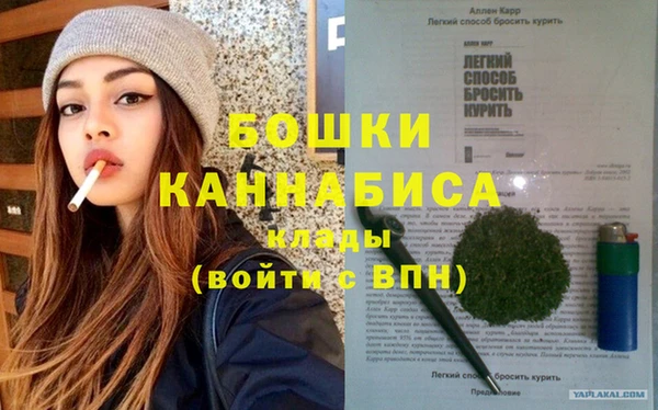 дживик Коряжма