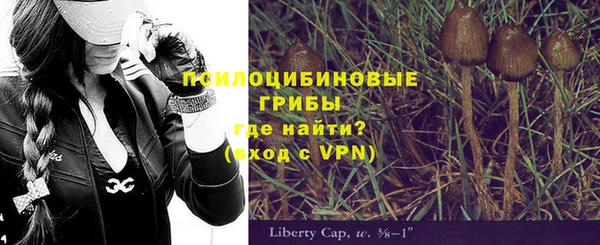 дживик Коряжма