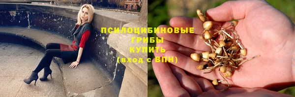 дживик Коряжма