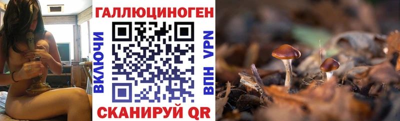 Галлюциногенные грибы Psilocybe сколько стоит Коряжма