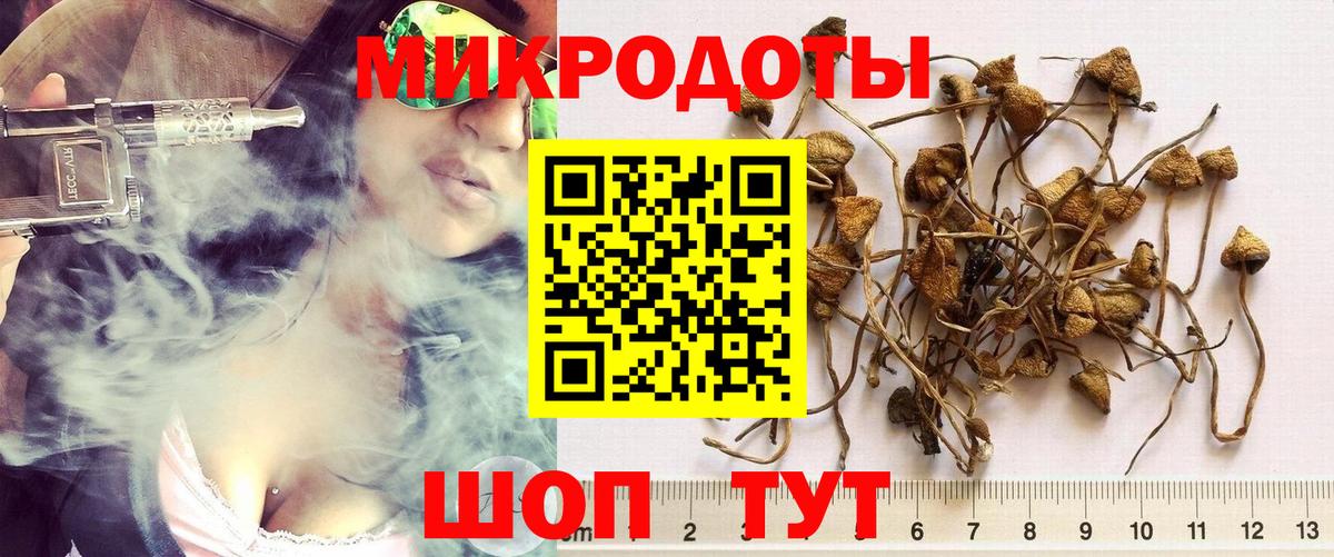 Галлюциногенные грибы MAGIC MUSHROOMS Коряжма